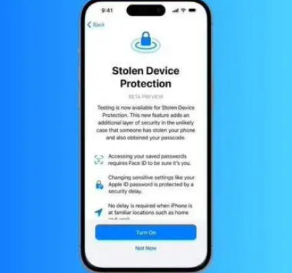 津市苹果授权维修店分享被盗设备保护功能开启方法 
