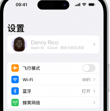 津市appleID维修服务iPhone设置中Apple ID显示为灰色无法使用 