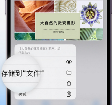 津市apple维修中心分享iPhone文件应用中存储和找到下载文件