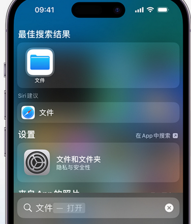 津市apple维修中心分享iPhone文件应用中存储和找到下载文件 