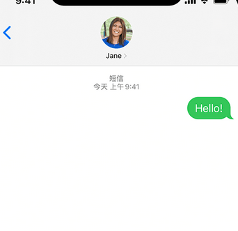 津市apple维修iPhone上无法正常发送iMessage信息