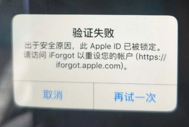 津市iPhone维修分享iPhone上正常登录或使用AppleID怎么办 