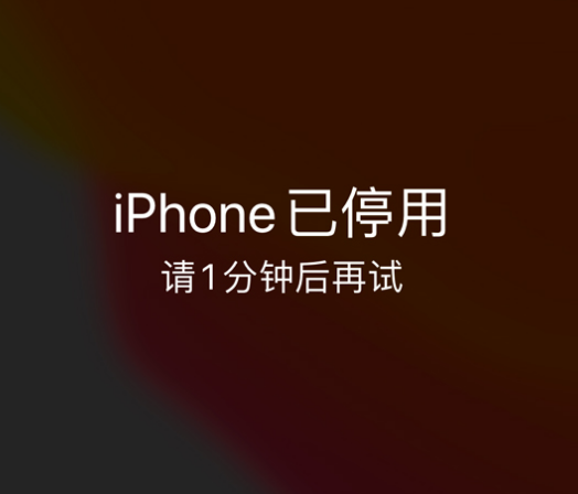 津市苹果手机维修分享:iPhone 显示“不可用”或“已停用”怎么办？还能保留数据吗？ 