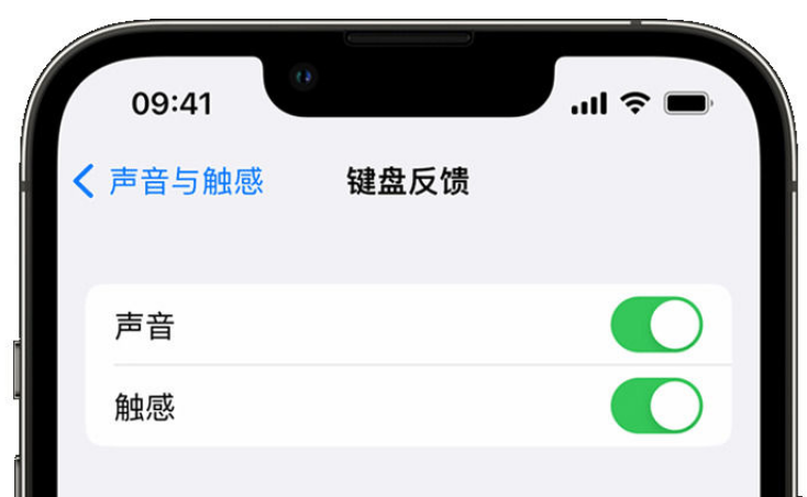 津市苹果手机维修分享iPhone 14触感键盘使用方法 