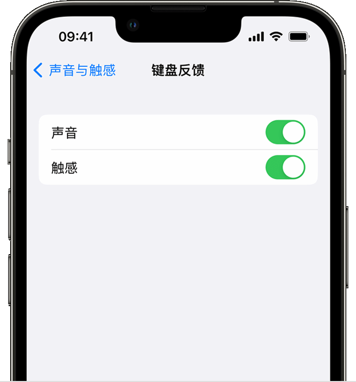 津市苹果14维修店分享如何在 iPhone 14 机型中使用触感键盘 