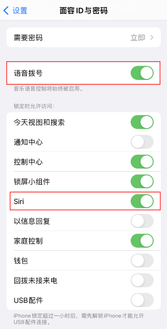 津市苹果维修网点分享不解锁 iPhone 的情况下通过 Siri 拨打电话的方法 