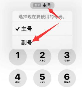 津市苹果14维修店分享iPhone 14 Pro Max使用副卡打电话的方法 