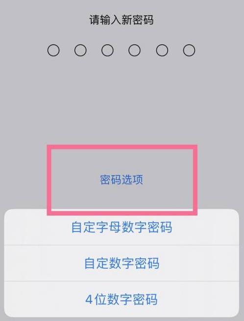 津市苹果14维修分享iPhone 14plus设置密码的方法 