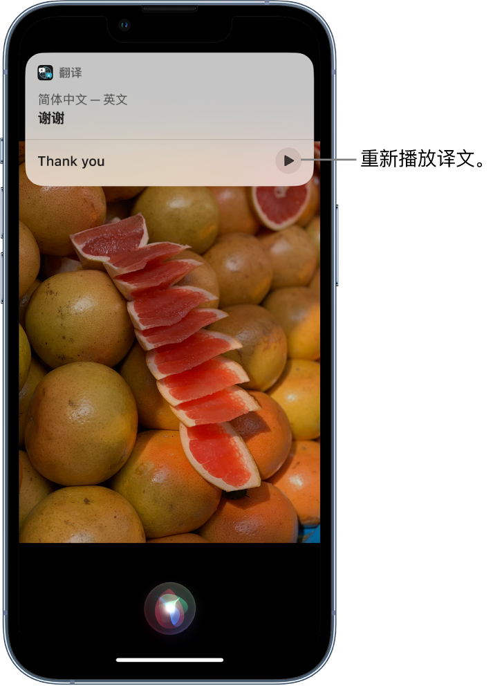 津市苹果14维修分享 iPhone 14 机型中使用 Siri：了解 Siri 能帮你做什么 