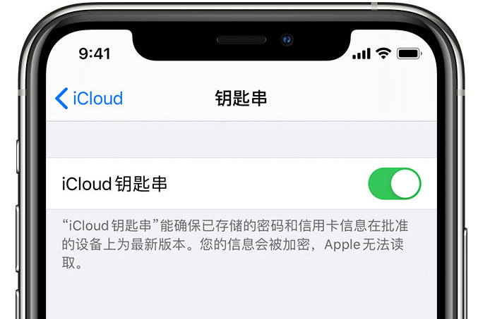 津市苹果手机维修分享在 iPhone 上开启 iCloud 钥匙串之后会储存哪些信息 