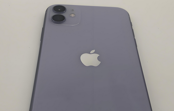 津市苹果11系统维修分享iPhone11手机系统崩溃无法开机如何解决